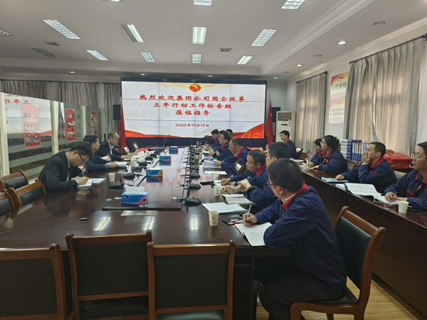 集團(tuán)公司到公司檢查“國企改革三年行動(dòng)” 集團(tuán)公司到公司檢查“國企改革三年行動(dòng)”